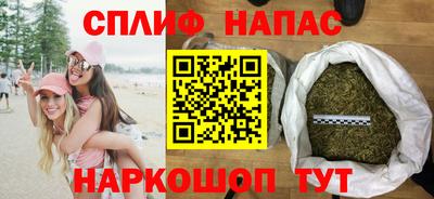 прущие грибы Будённовск