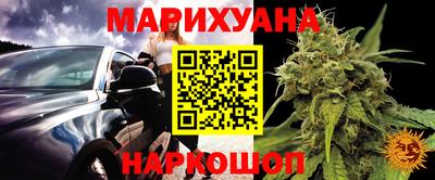 прущие грибы Будённовск