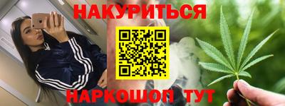 прущие грибы Будённовск